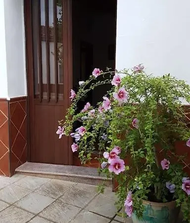 Casa Jara *