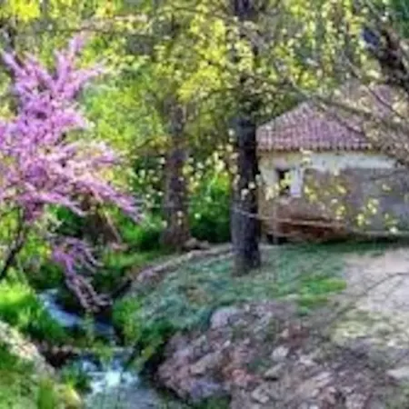 Holiday home Casa Jara *